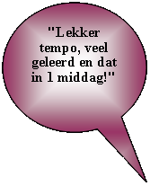 Tekstballon: ovaal: "Lekker tempo, veel geleerd en dat 
in 1 middag!" 